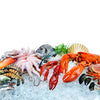 【贝类】—— Shellfish