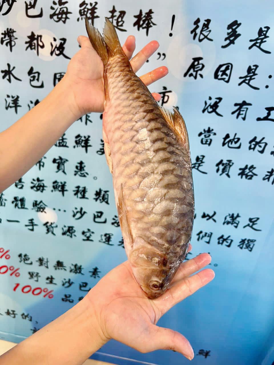 砂劳越野生忘不了鱼 SARAWAK Wild Empurau——1-1.5KG