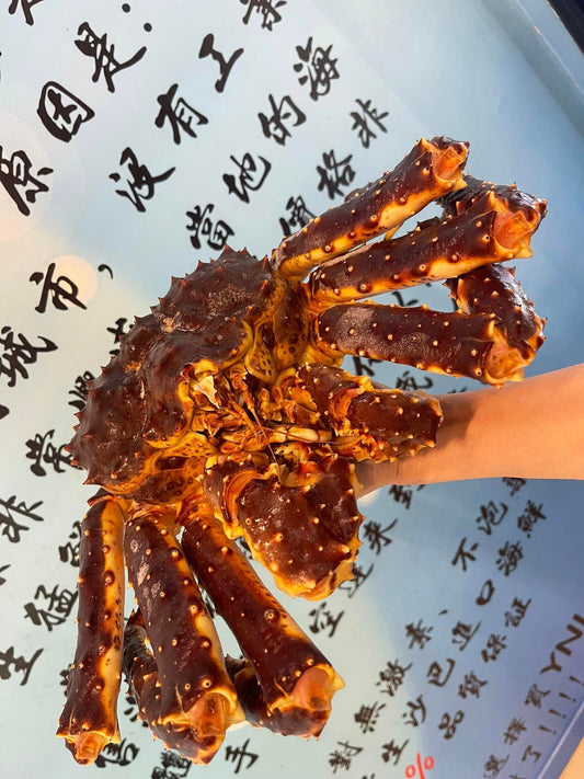 帝王蟹 —— ALASKAN King Crab ( 2-3kg )