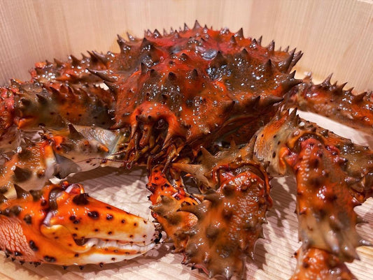 花咲蟹 —— Hanasaki Crab (1-2kg)
