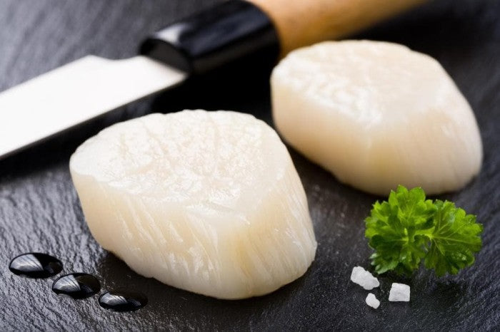Sashimi Grade JAPAN Hokkaido BIG Scallop —— 北海道刺身带子