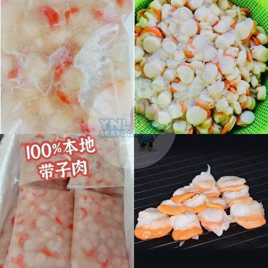 沙巴野生带子肉 (500g )——Sabah Scallop Meat