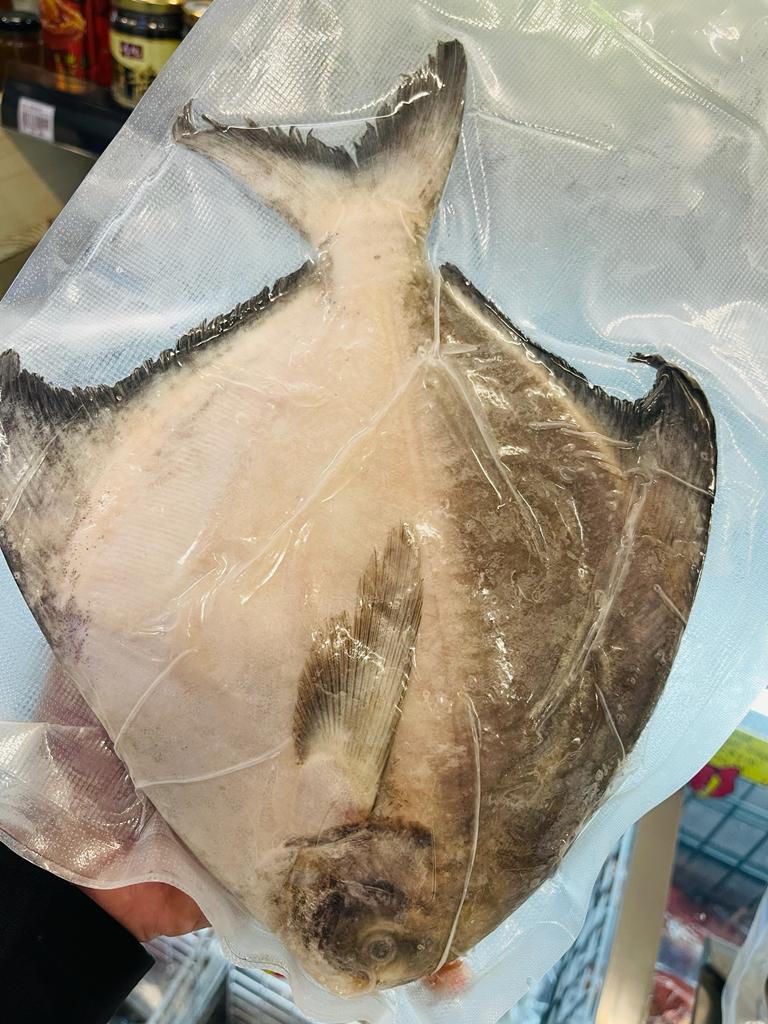 沙巴斗鲳鱼 —— Sabah Chinese Pomfret (500-600G )