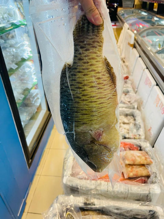 沙巴苏眉鱼 —— Mamin Fish T/S (500-1KG)