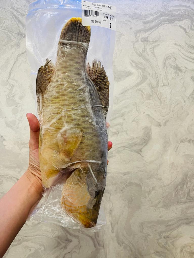 沙巴苏眉鱼 —— Mamin Fish T/S (500-1KG)