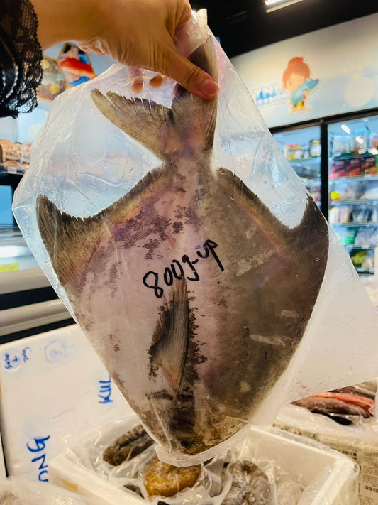 沙巴大斗鲳鱼 —— Sabah Chinese Pomfret ( 700- 800G )