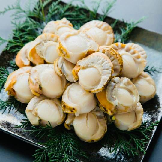 Hotate scallop ——1KG