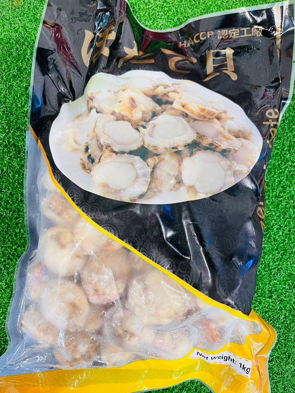 Hotate scallop ——1KG