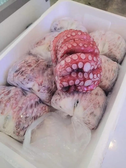Japan Tako