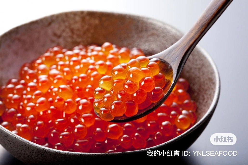 JAPAN IKURA / SALMON EGG ROE —— 500G