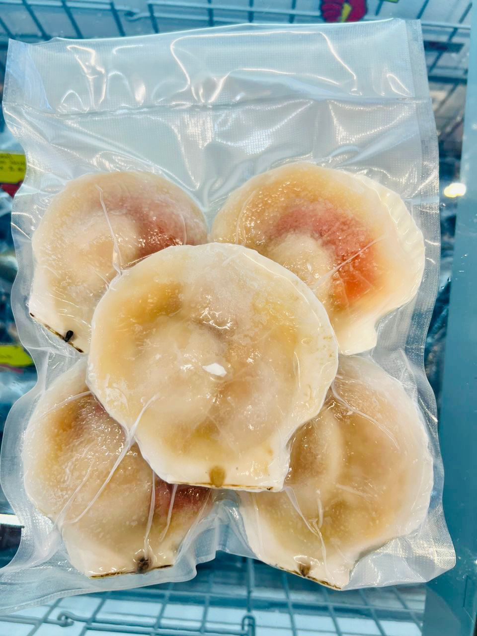 冻半壳虾夷扇贝 —— BIG Half Shell Scallop
