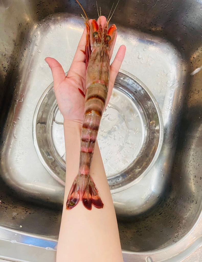 沙巴野生特大老虎虾(XXL) —— Sabah Deep Sea Wild Tiger Prawn -750G (4-5pcs)