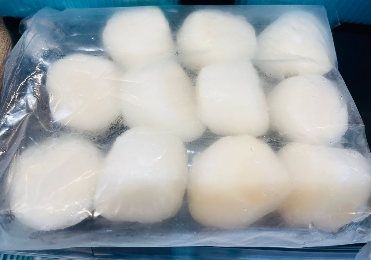 Sea Scallop (10/20 )