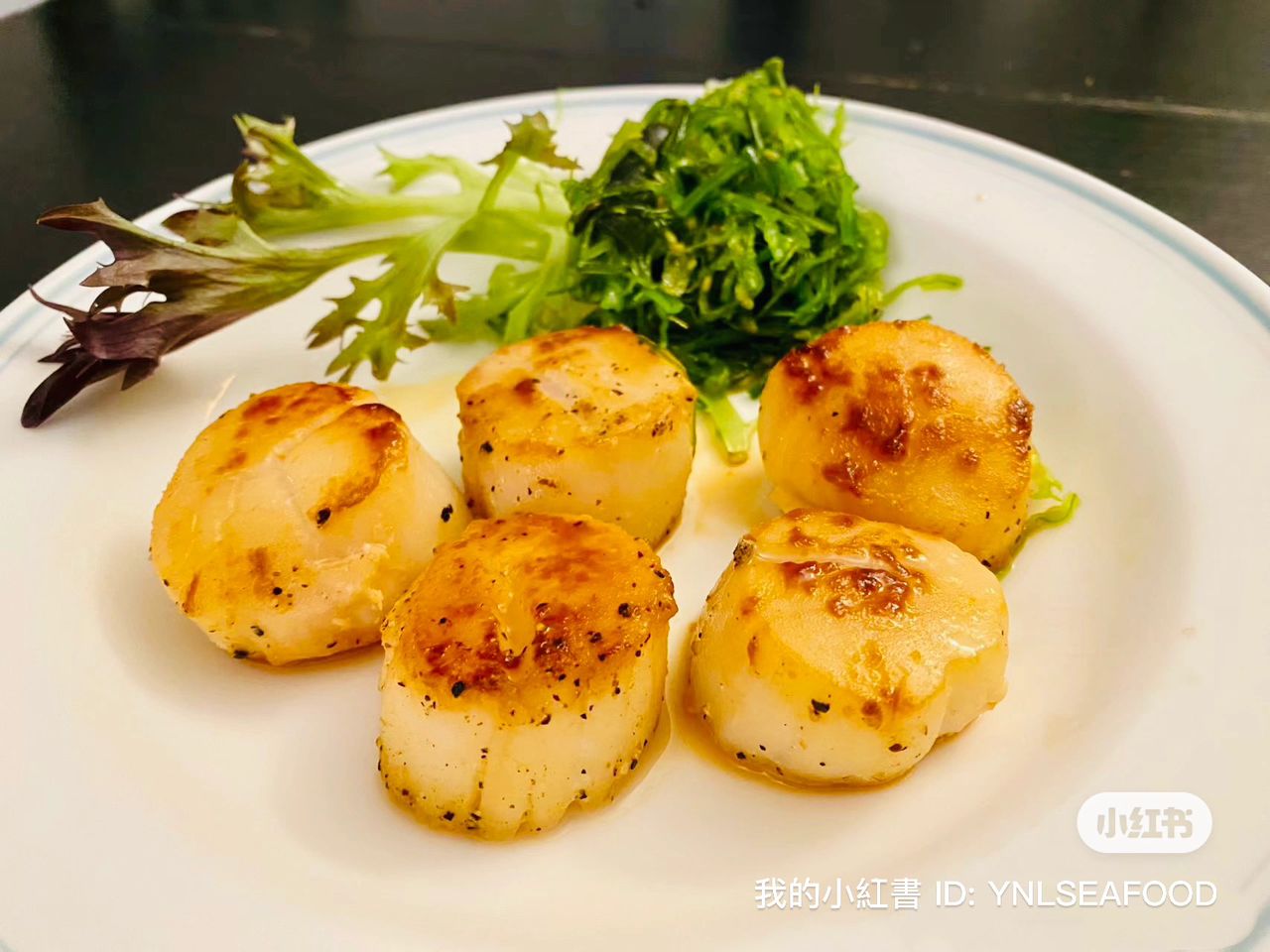 Sashimi Grade JAPAN Hokkaido BIG Scallop —— 北海道刺身带子