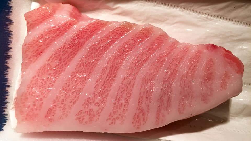 4A JAPAN Bluefin Otoro /Chutoro 【Premium Quality 】600-800G