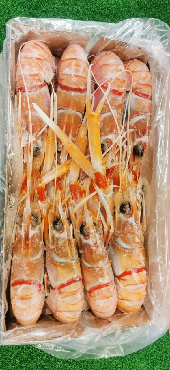 New Zealand Scampi —— 新西兰螯虾 2KG