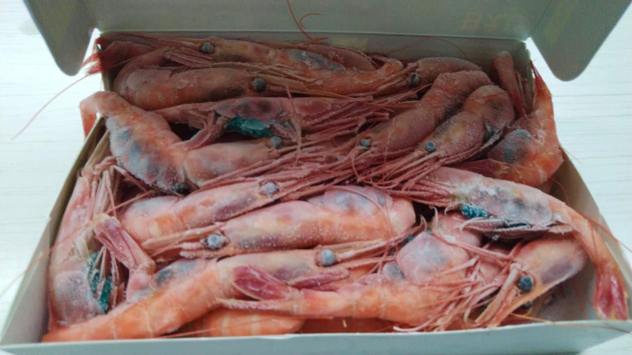 北极甜虾 —— AMAEBI ( 1KG )