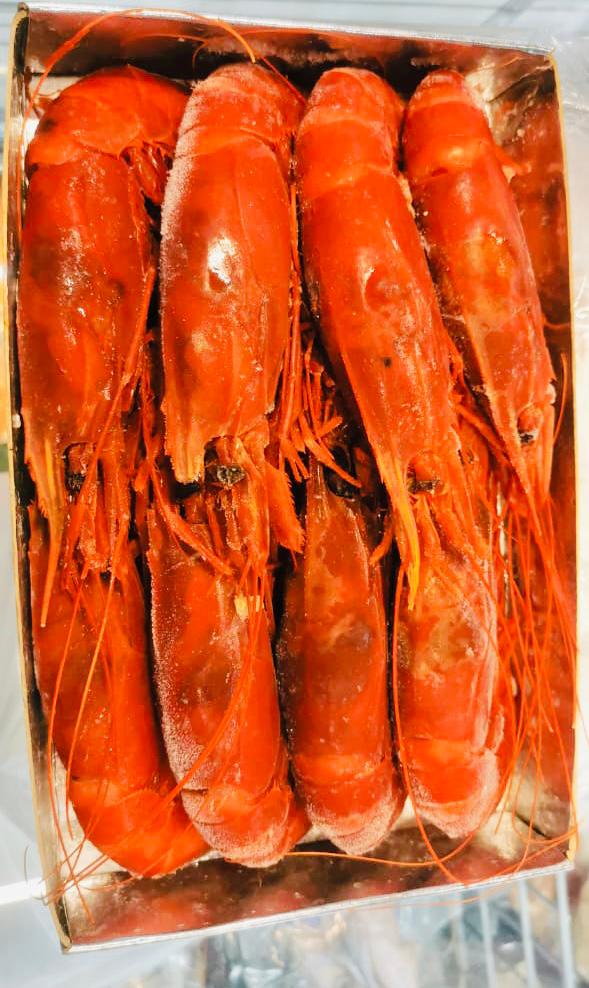 西班牙红魔虾 —— Spain CARABINERO Prawn