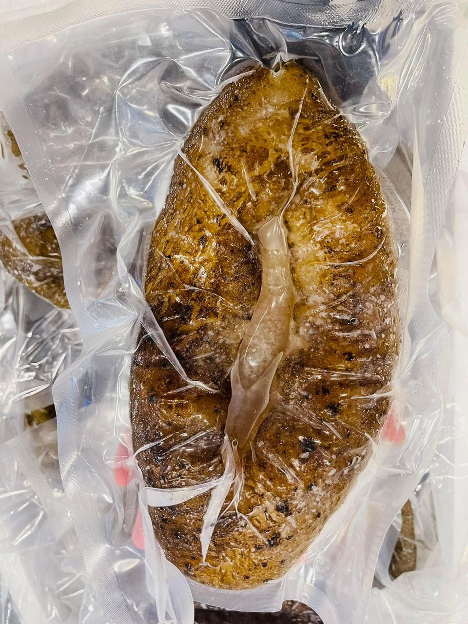 沙巴猪婆参 Sea Cucumber (300G-1KG ++)
