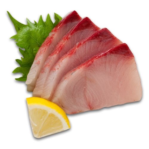 4a JAPAN Hamachi Fillet - 2KG+- 【Premium quality 】~ sashimi grade
