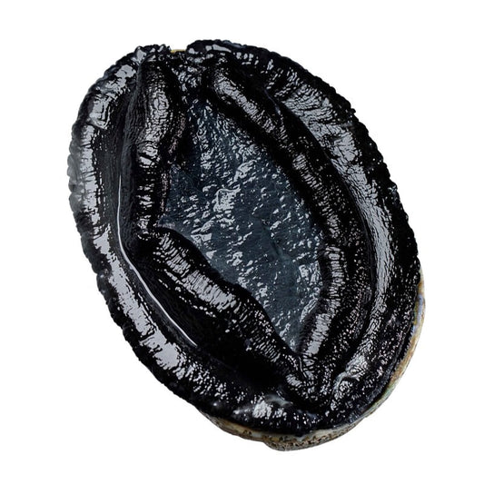 新西兰 【野生黑金鲍鱼】—— NZ Wild Abalone (300g+)