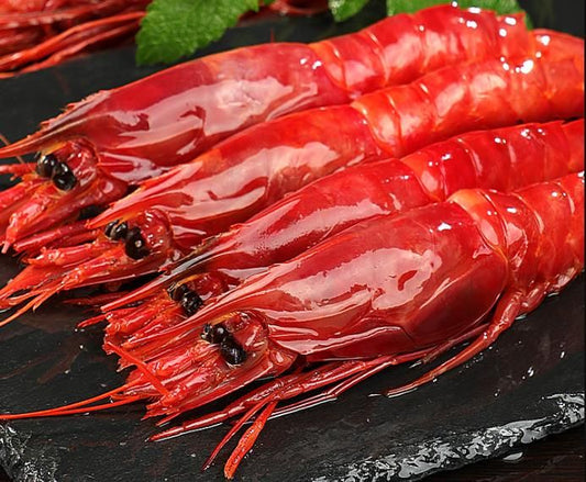 西班牙红魔虾 —— Spain CARABINERO Prawn