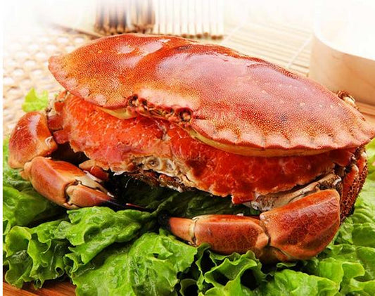 法国面包蟹 —— FRENCH Brown Crab