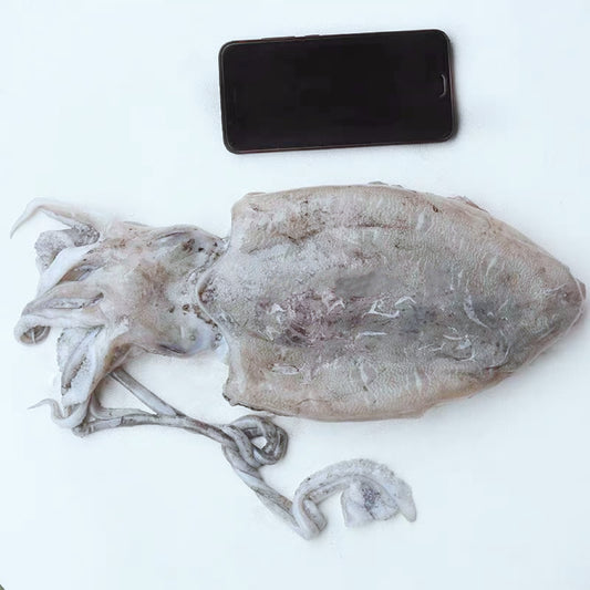 沙巴乌贼(XL) —— Sabah Squid (XL) 550g-650g