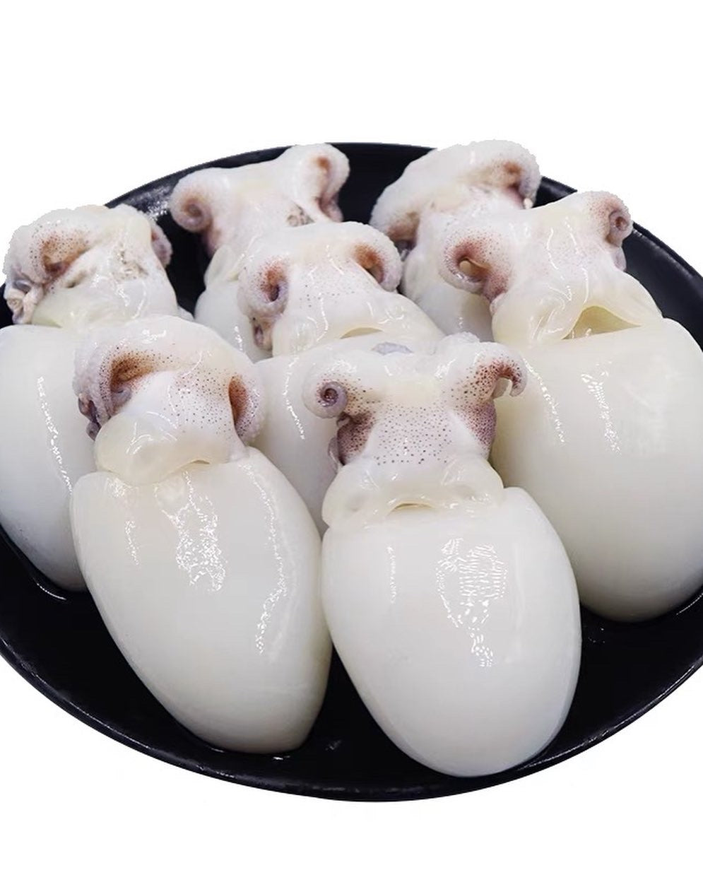 沙巴小墨鱼—— Sabah Cuttlefish (500G)