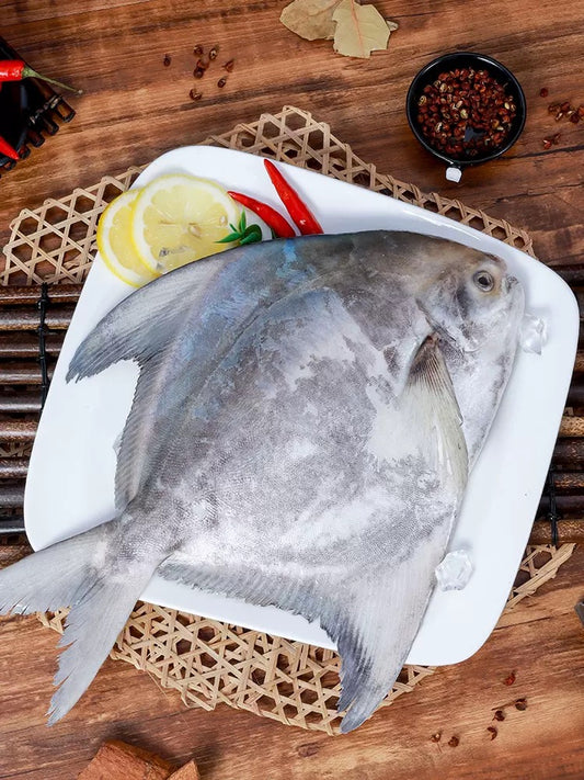 沙巴斗底昌Sabah Chinese Promfet ( 700-750g )