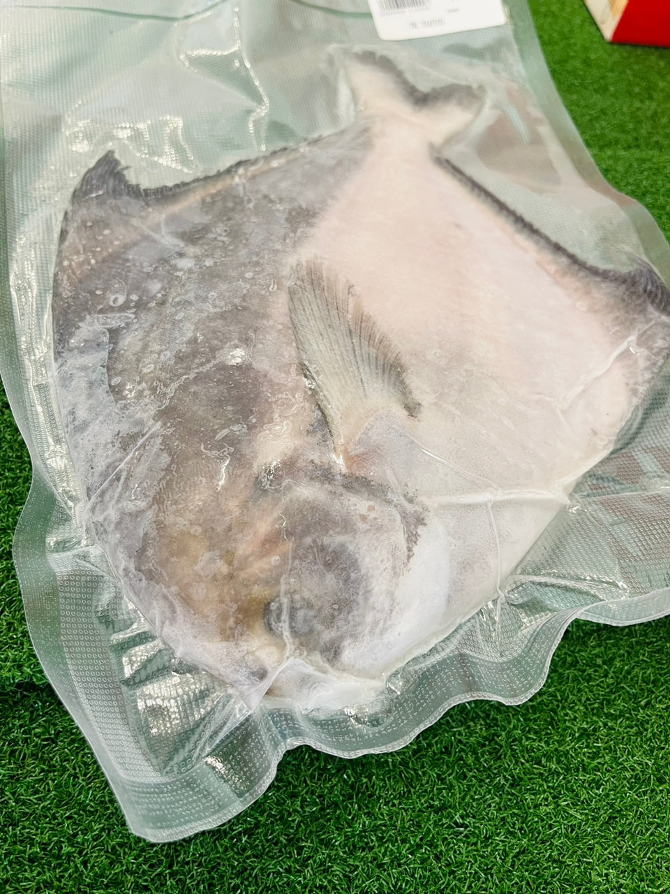 沙巴斗底昌Sabah Chinese Promfet ( 700-750g )