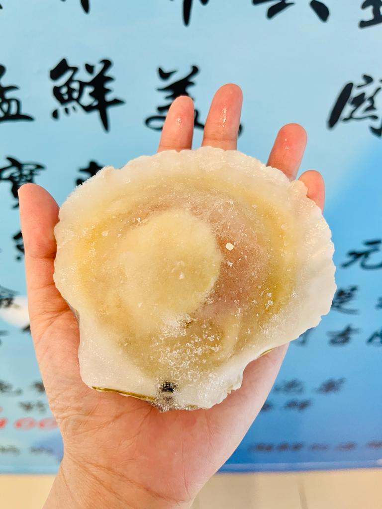 冻半壳虾夷扇贝 —— BIG Half Shell Scallop