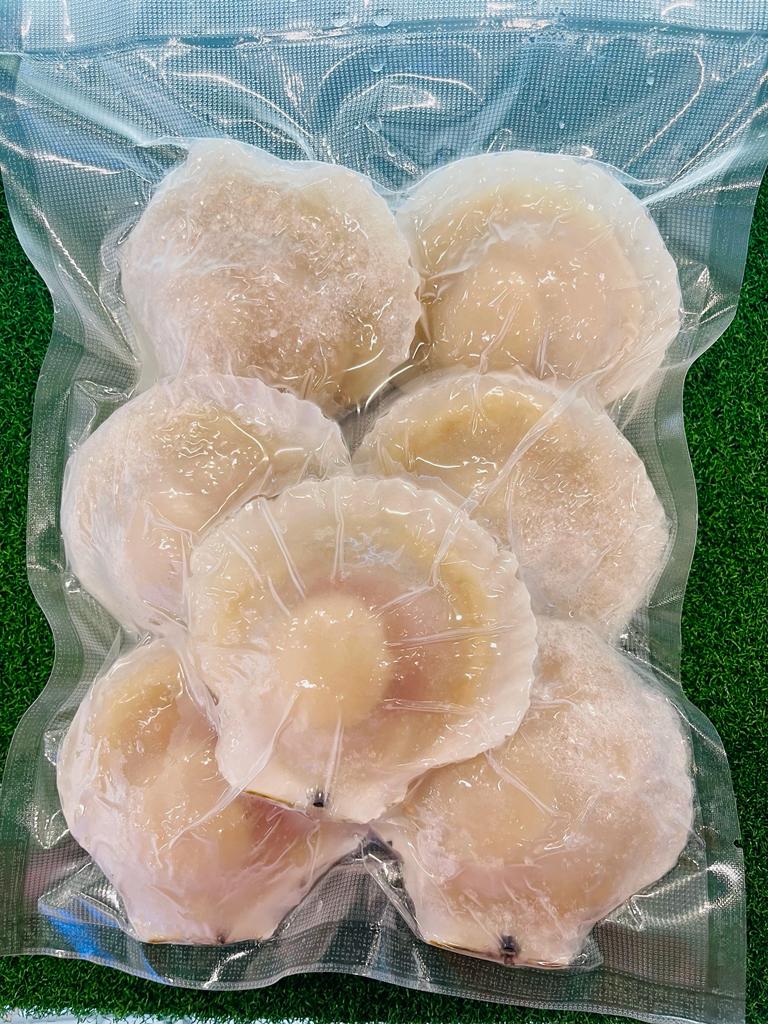 冻半壳虾夷扇贝 —— BIG Half Shell Scallop