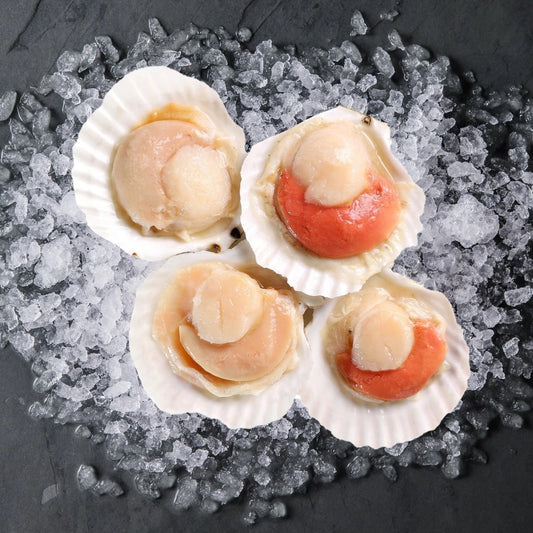 冻半壳虾夷扇贝 —— BIG Half Shell Scallop