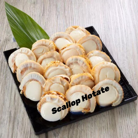 Scallop Hotate 100-150