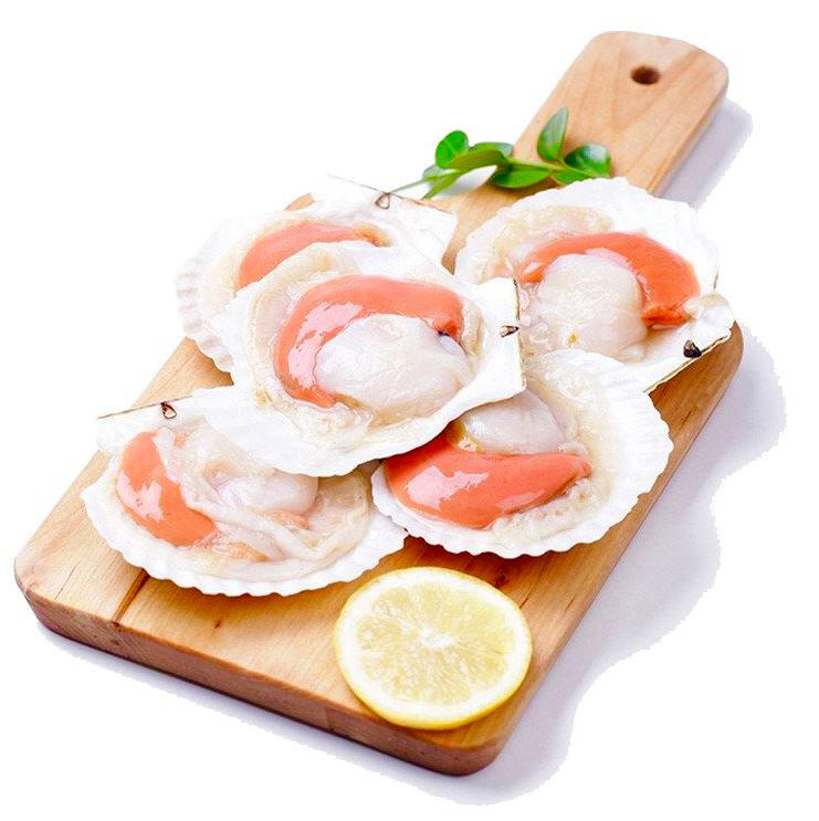 虾夷扇贝 —— Half Shell Scallop 8/9
