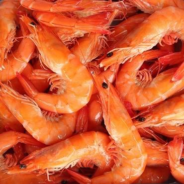 【熟白虾~26/30】Frozen Cooked White Shrimp