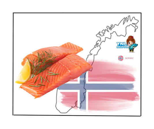 【挪威 —— 三文鱼】Norway salmon fillet(200g)