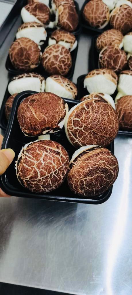 蘑菇鸡包 —— Mushroom chicken bun (4pcs)