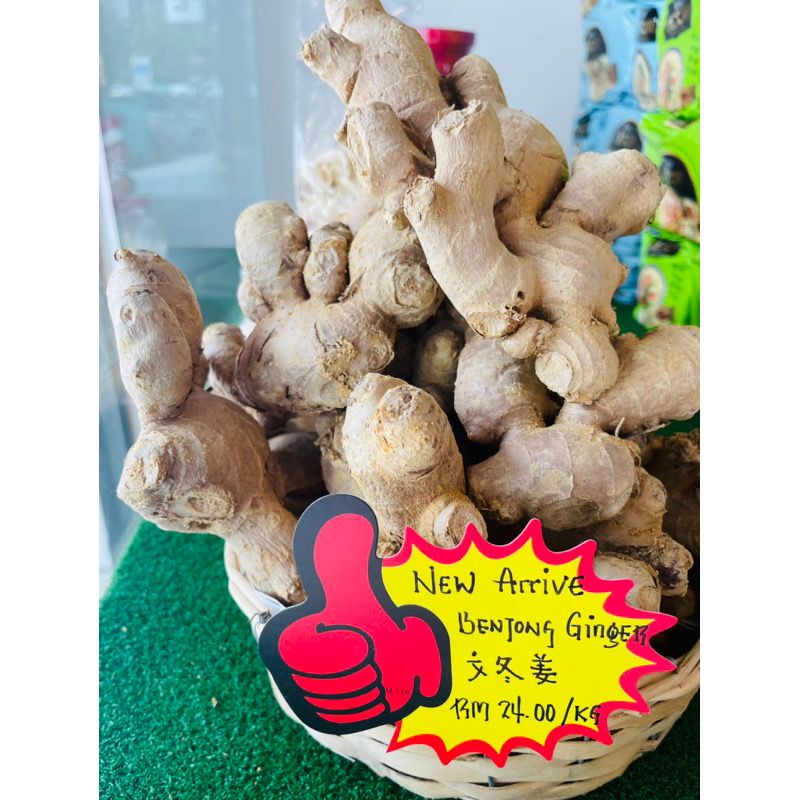 【文冬老姜】Bentong Old Ginger(500G)