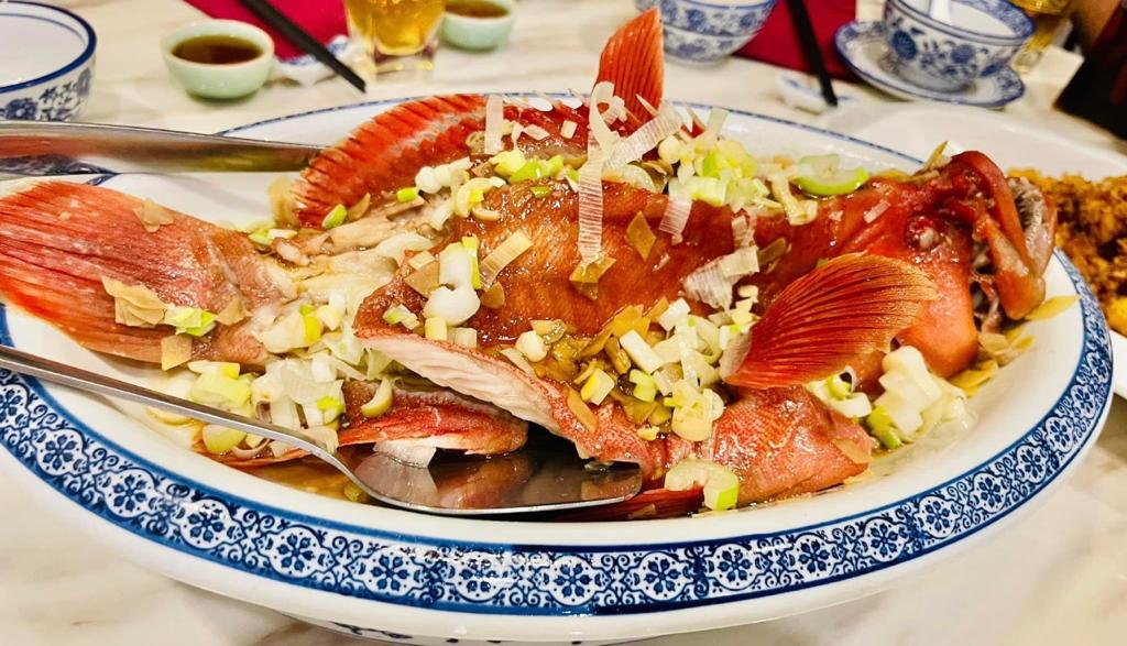 沙巴红瓜子 —— Sabah Tomato Grouper (900G+-)