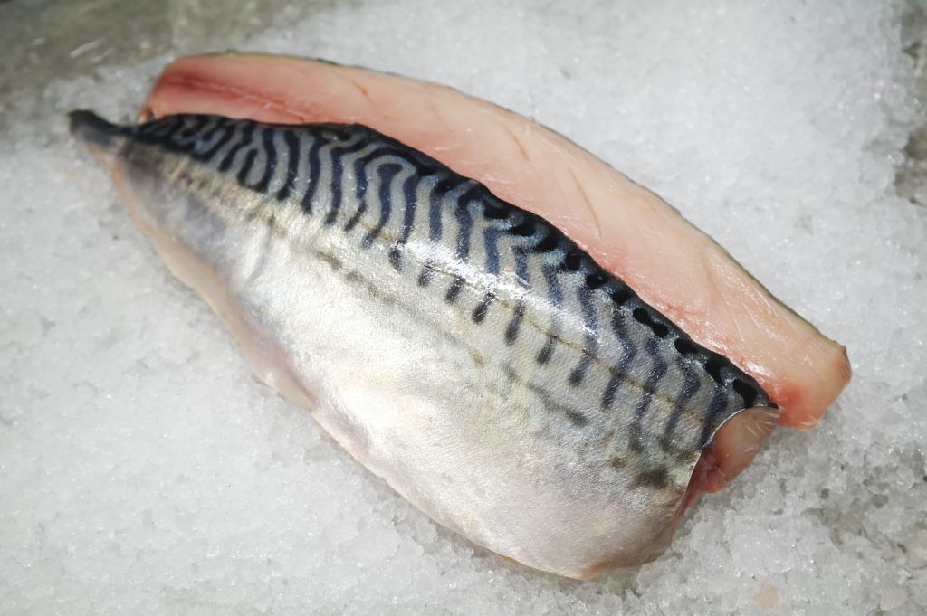 【挪威 —— 鲭鱼】Norway Saba Mackerel（500g）