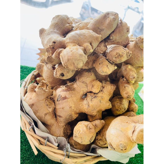 【文冬老姜】Bentong Old Ginger(500G)